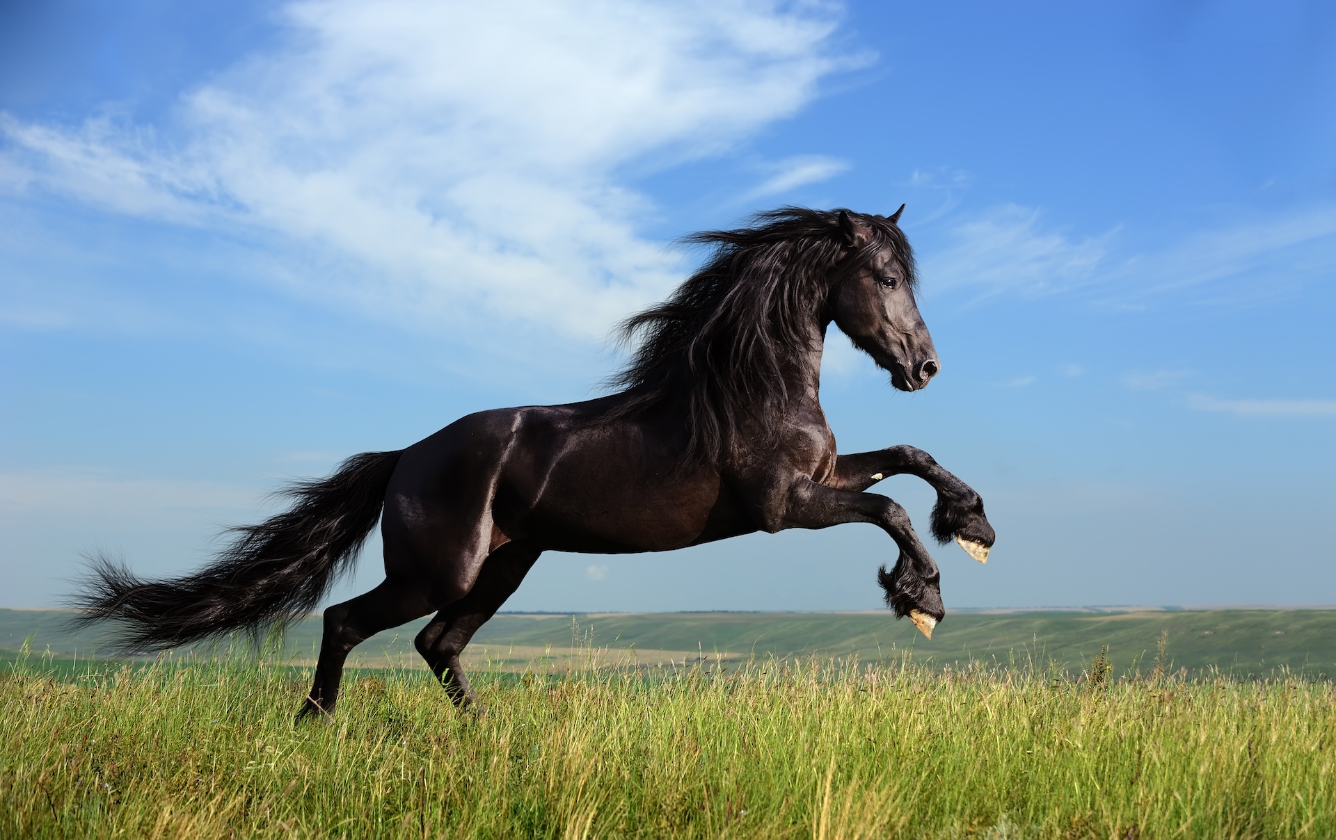 Lloyds Launches New £5,000 Deposit Mortgage: What It Means for First-Time Buyers